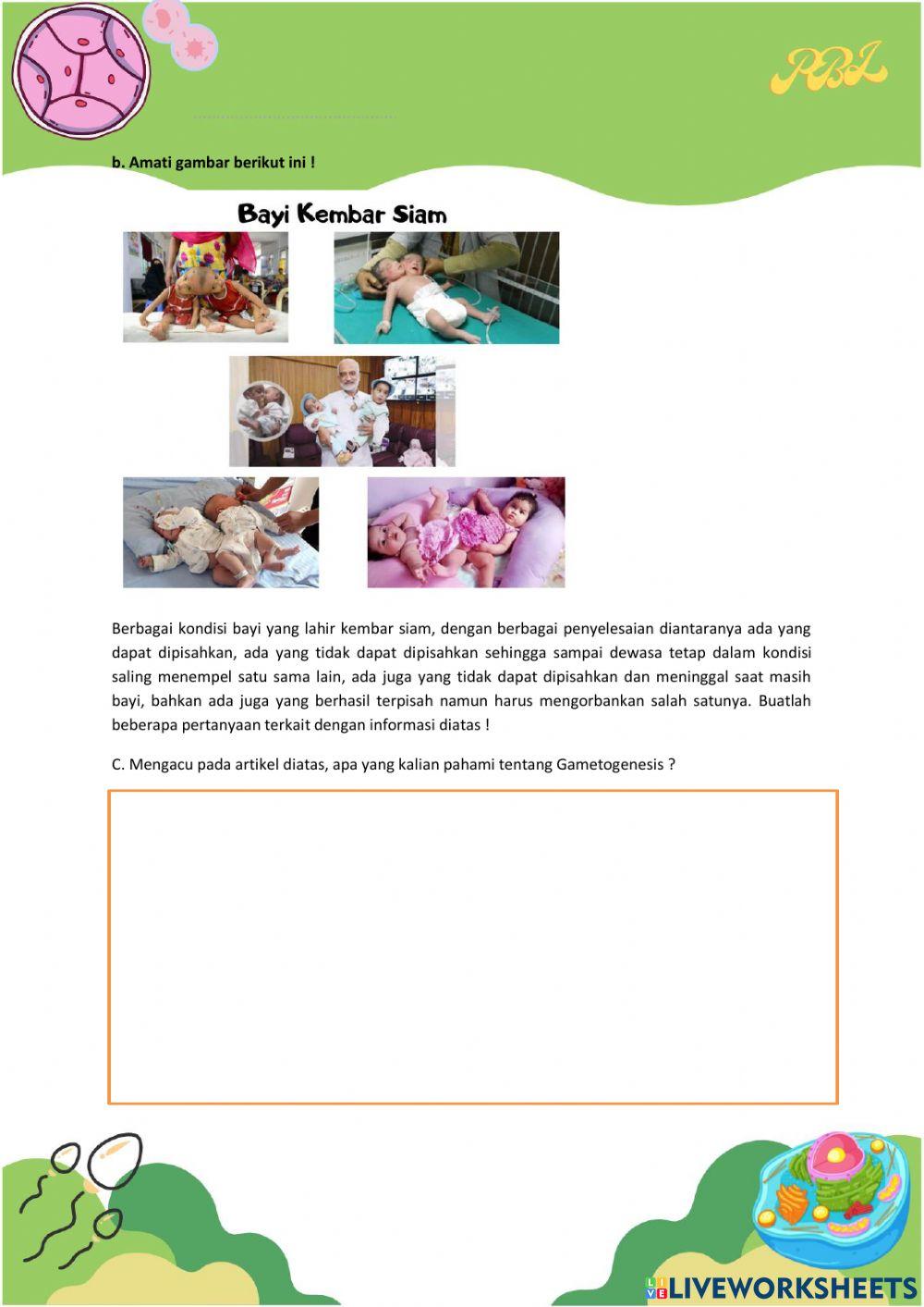 LKPD Pembelahan Sel 2