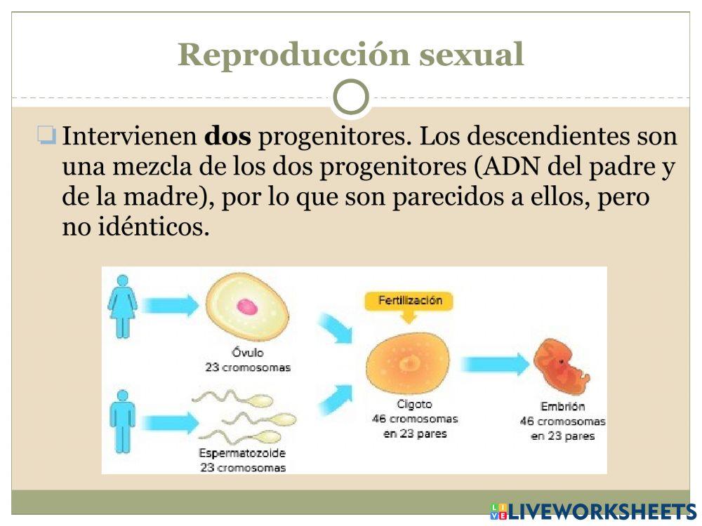 La reproducción Parte 2