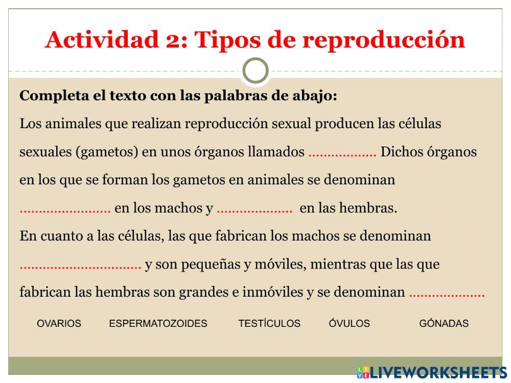 La reproducción Parte 2