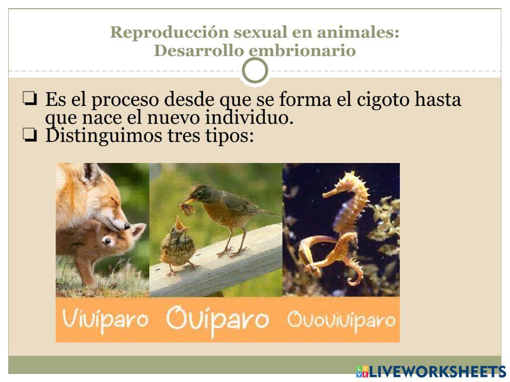 La reproducción Parte 3