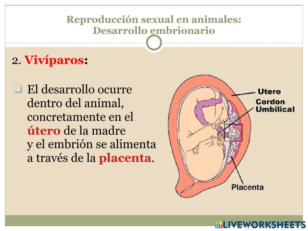 La reproducción Parte 3