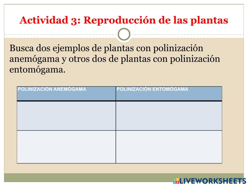La reproducción Parte 4