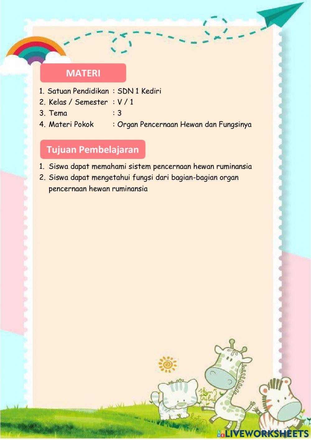 E-KPD Materi Organ Pencernaan Hewan dan Fungsinya