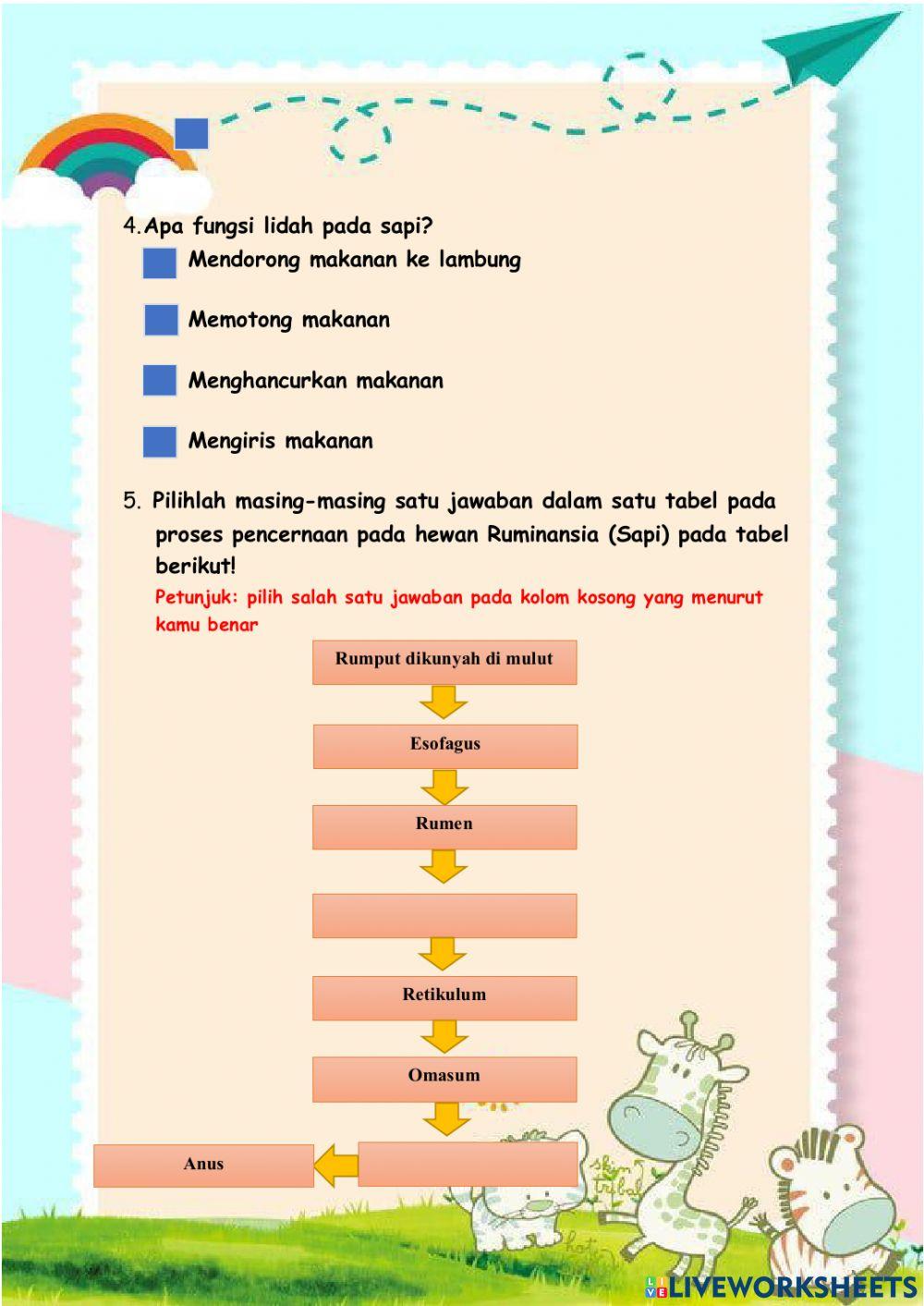 E-KPD Materi Organ Pencernaan Hewan dan Fungsinya