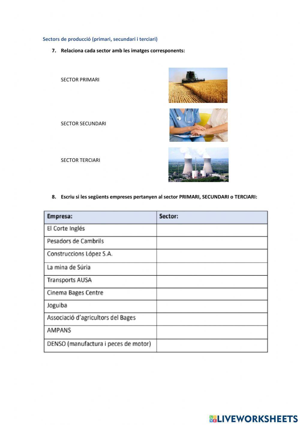 Incorporació al món professional