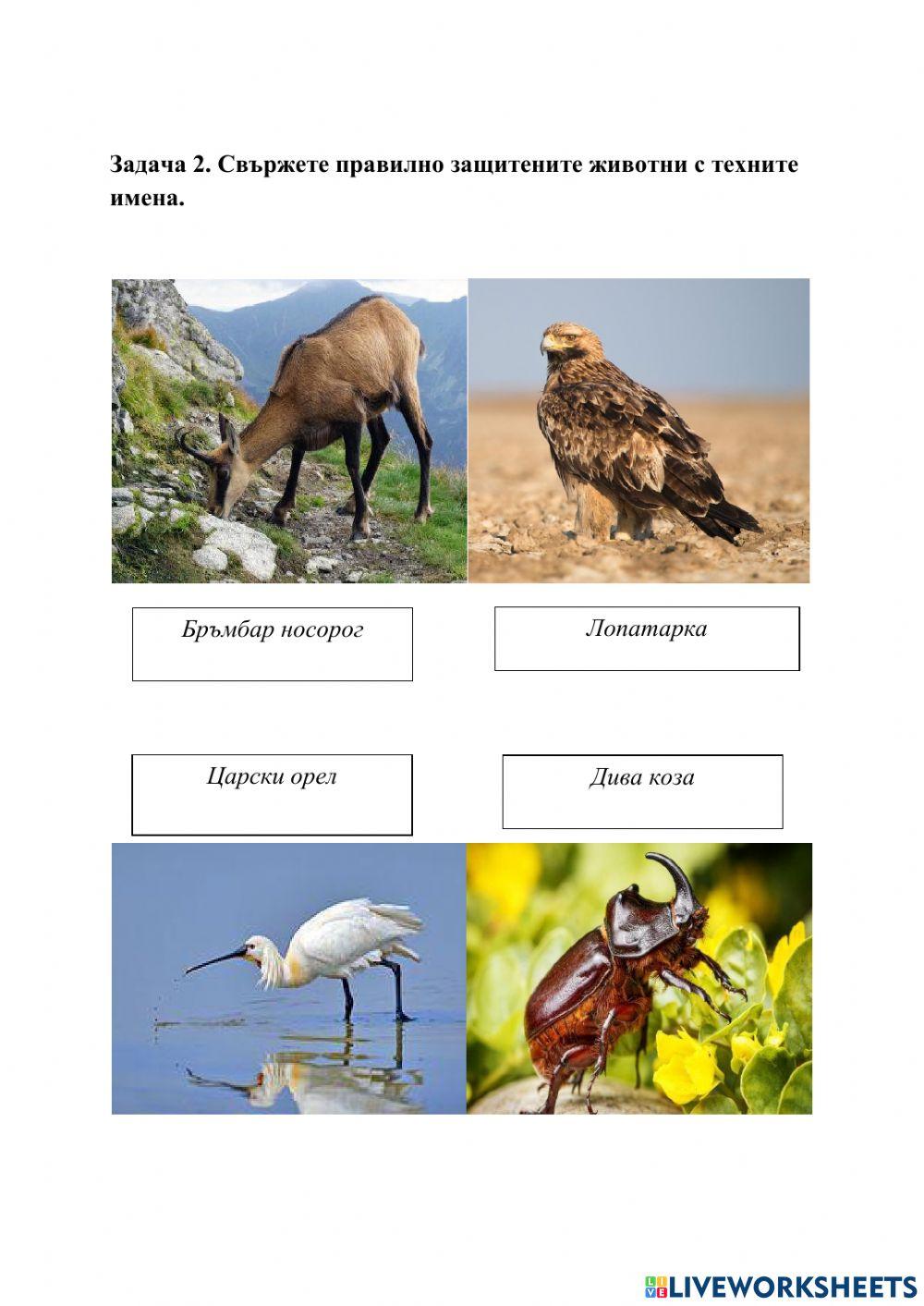 Интерактивен лист Християна Хубчева