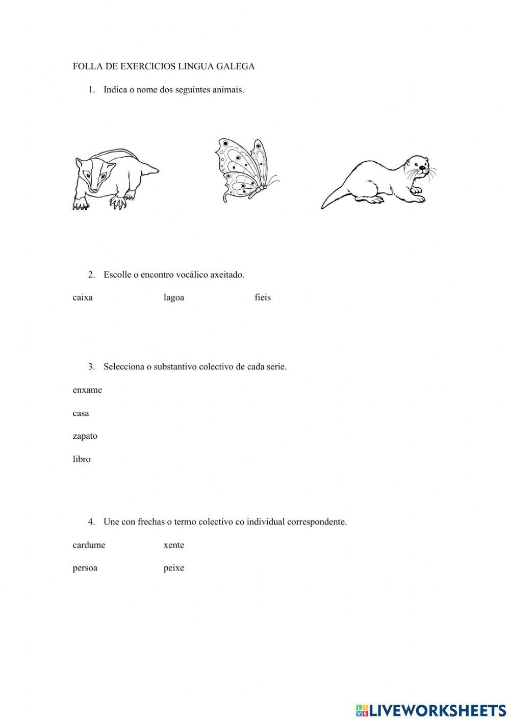 Ficha exercicios galego