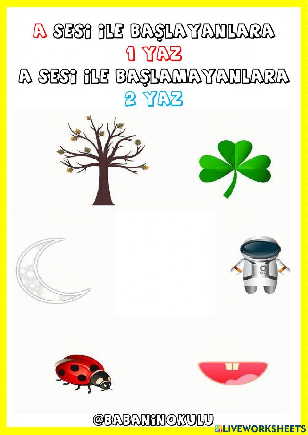 A SESİ A SESİ
