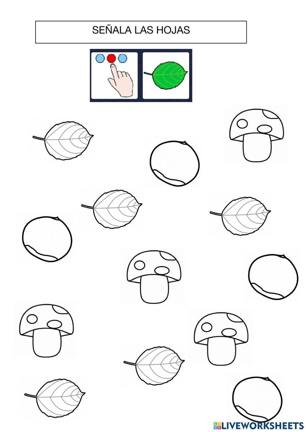 Elementos del otoño