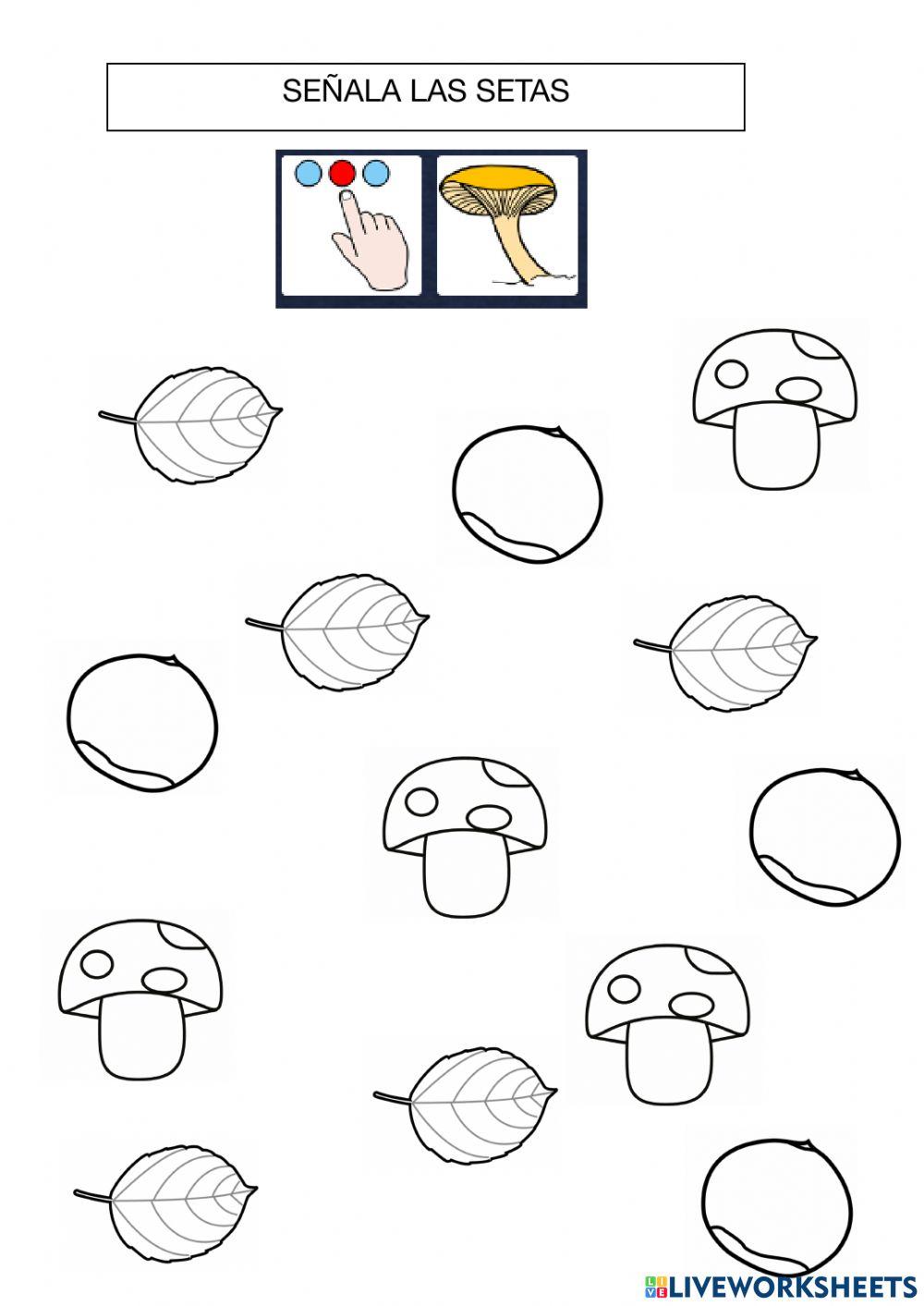 Elementos del otoño