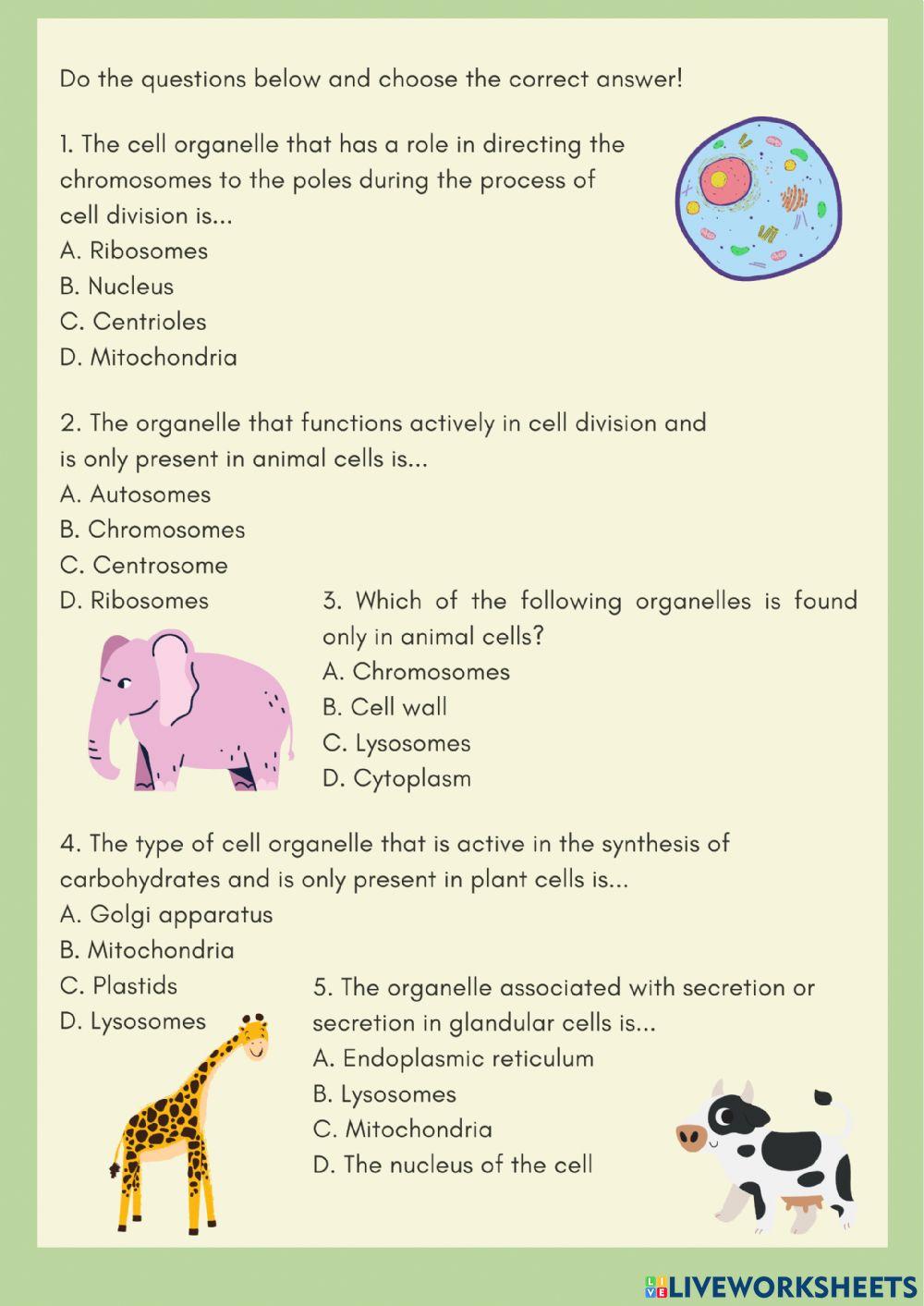 Difference Between Plant Cells and Animal Cells