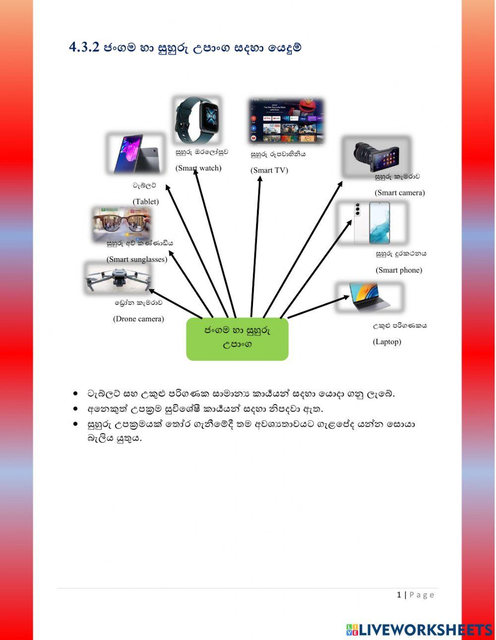 Programming Part 2 worksheet | Live Worksheets