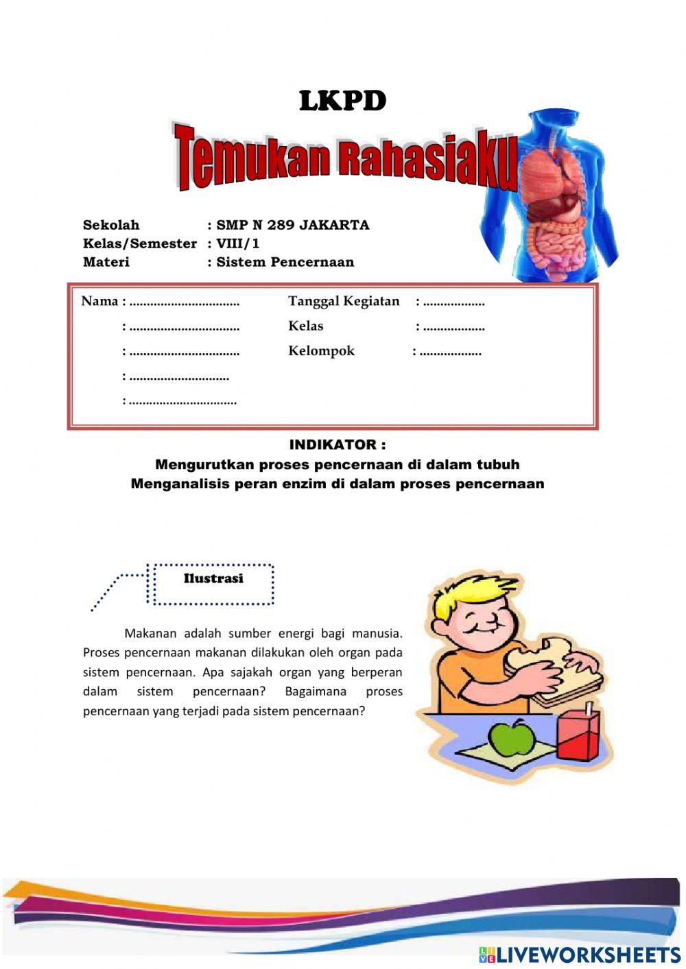 Sistem Pencernaan manusia