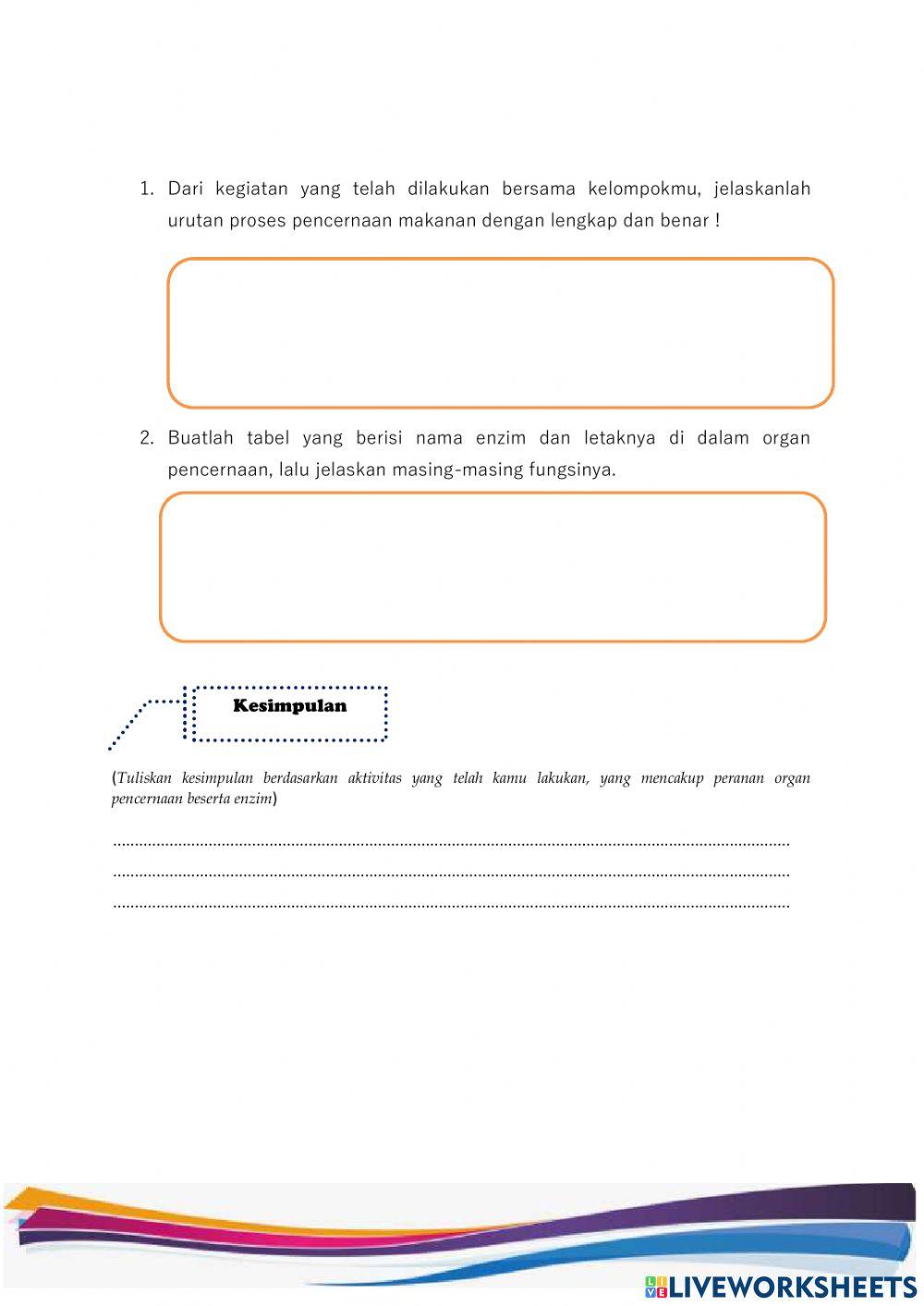 Sistem Pencernaan manusia