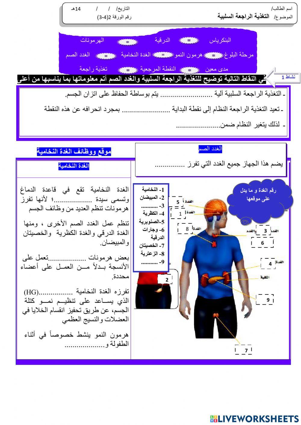 التغذية السلبية الرجعية