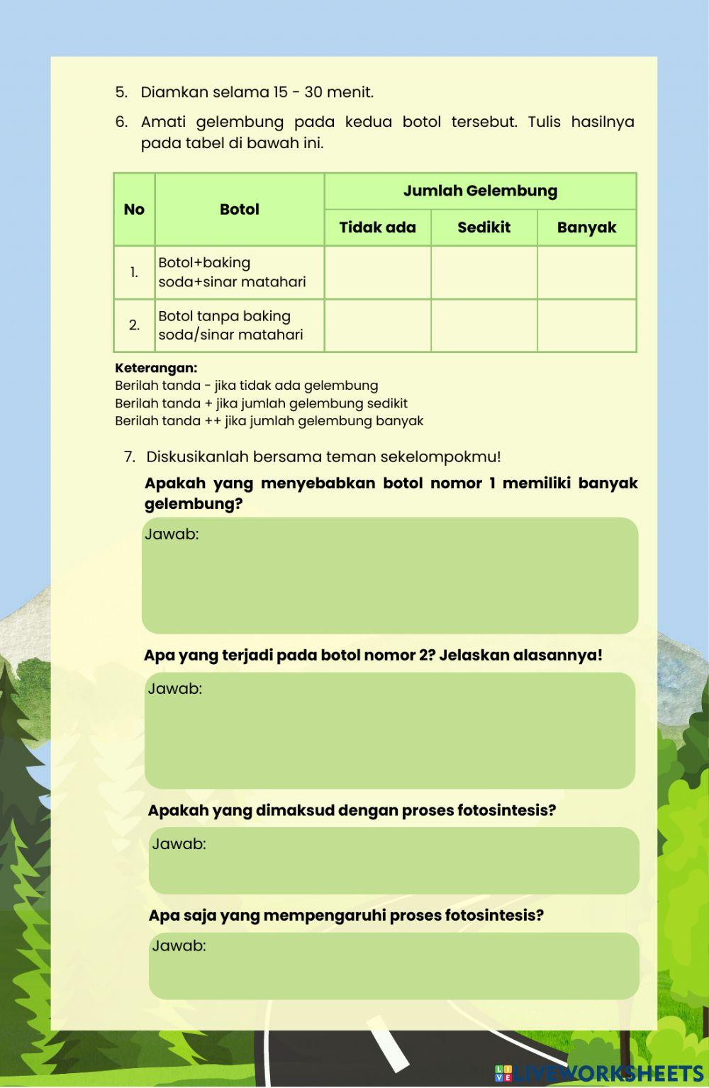 Fotosintesis, Proses Paling Penting di Bumi
