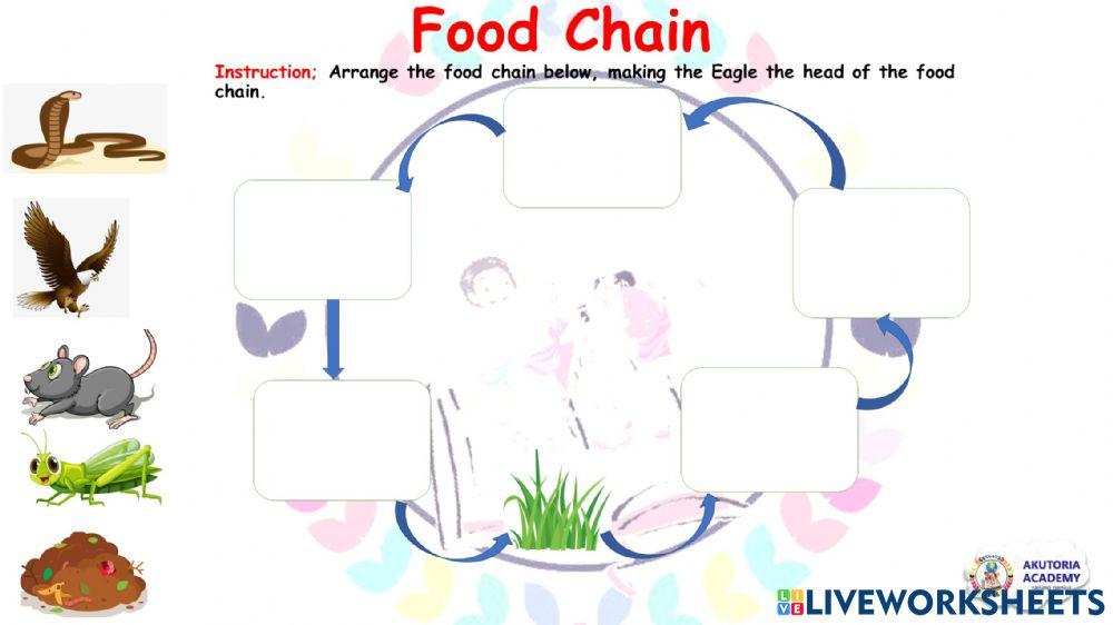AKUTORIA ACADEMY Biology Diagrams