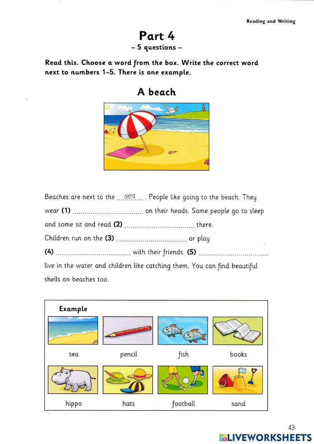 Starters - Test 3 Reading