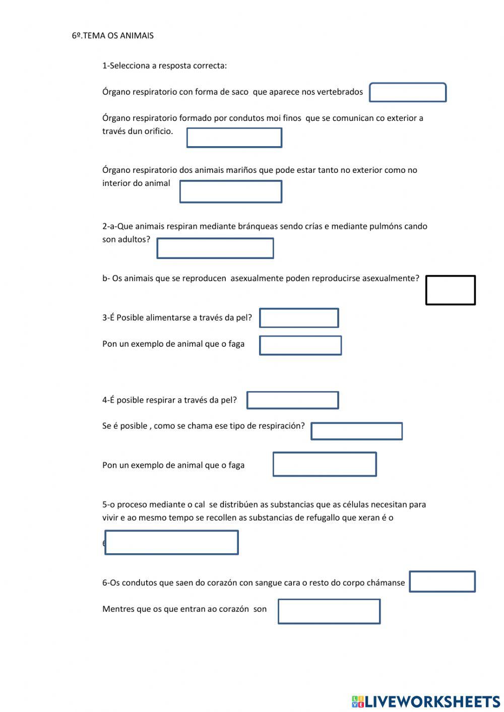 Os animais 6º primaria