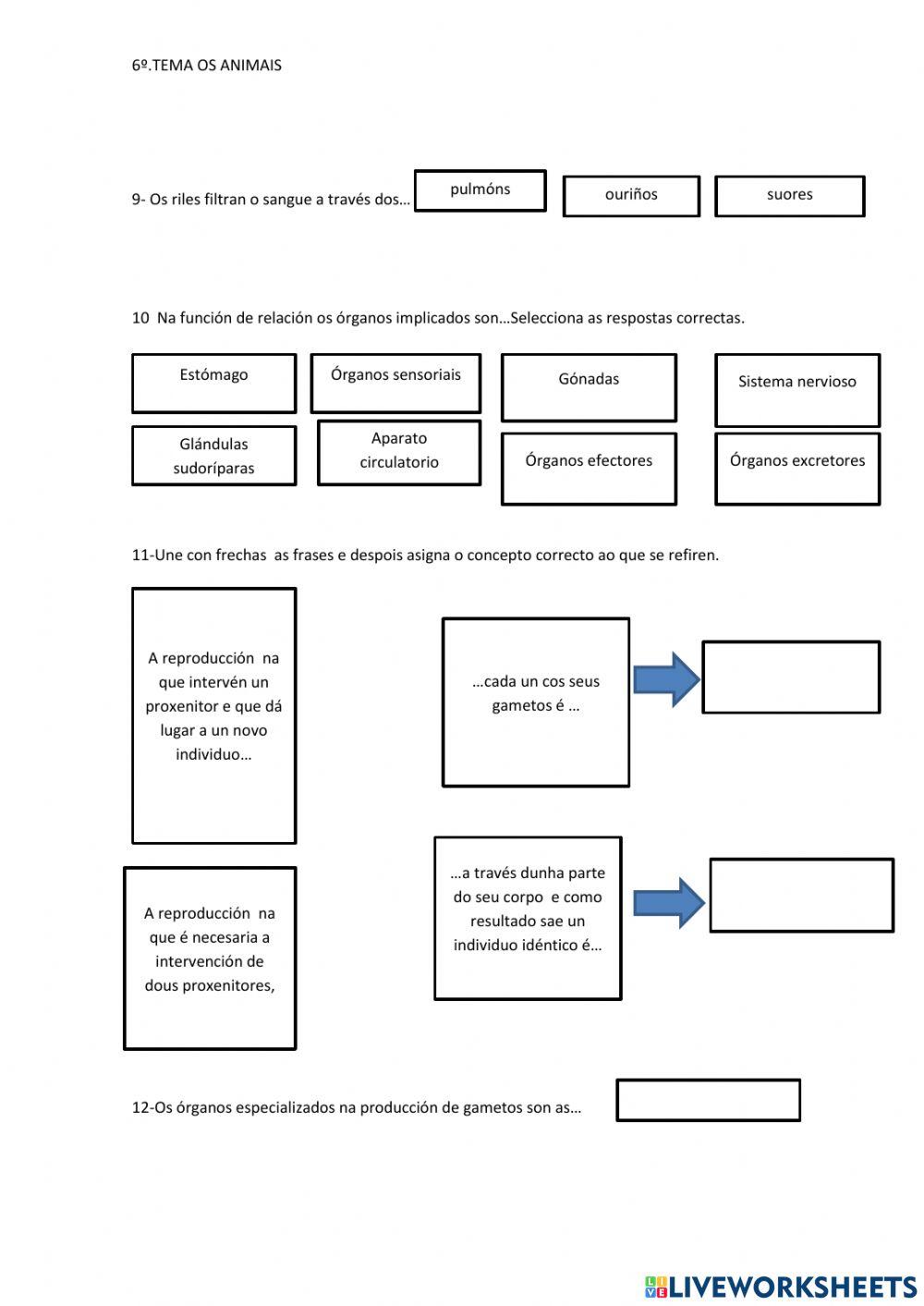 Os animais 6º primaria