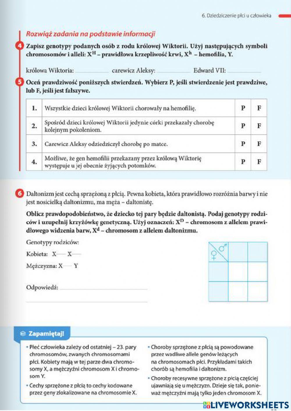 Dziedziczenie płci u człowieka - zadania