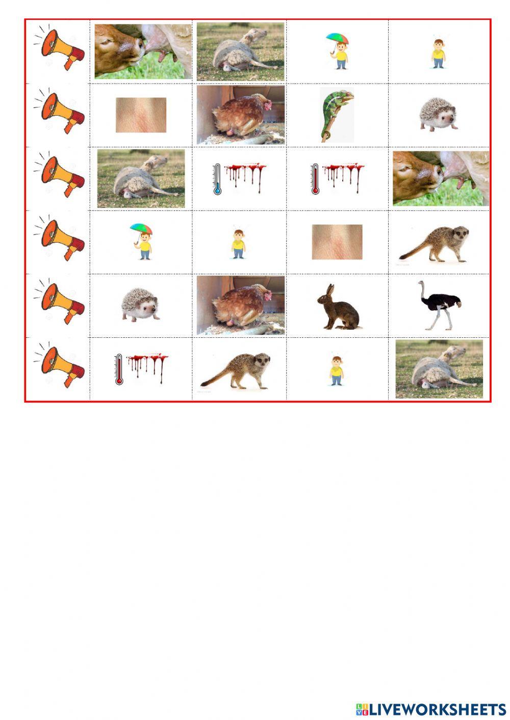 listen and choose extra vocab unit 2 tiger 3