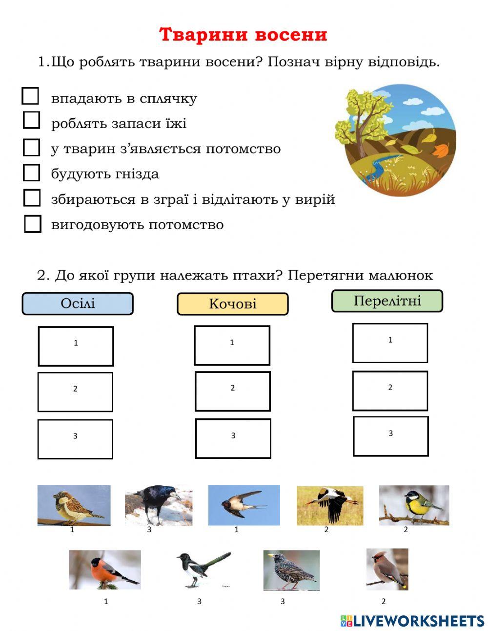 Клапощук Ольга Миколаївна