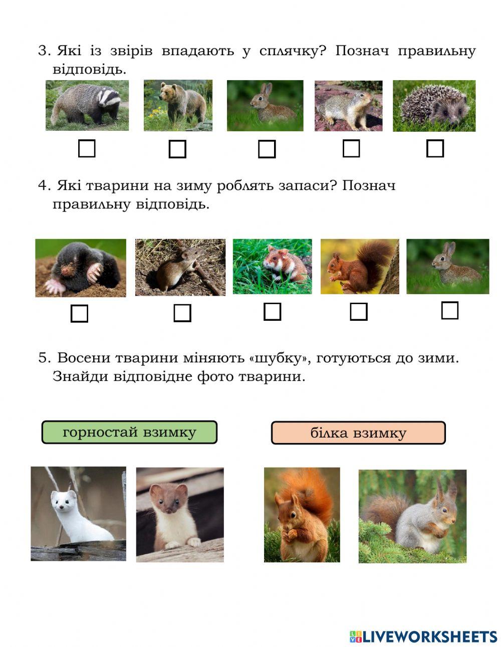 Клапощук Ольга Миколаївна