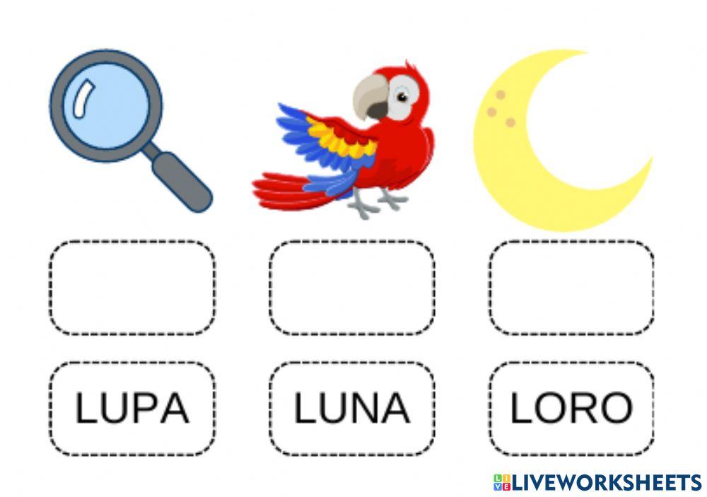 Identificación de palabras