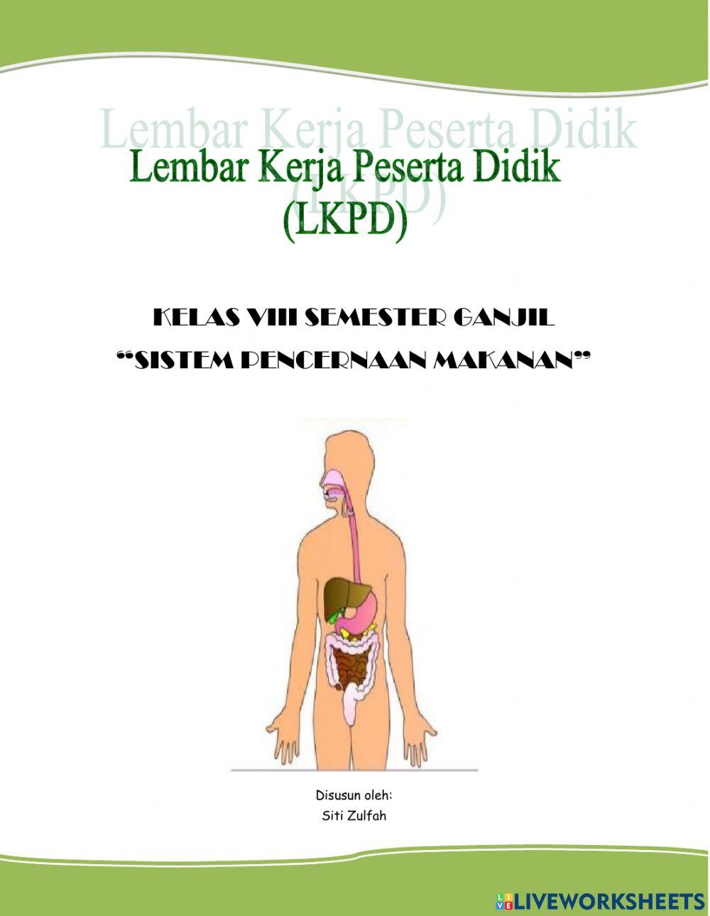 Sistem Pencernaan Manusia