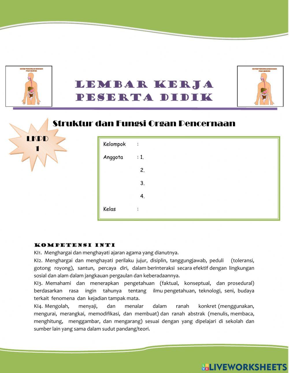 Sistem Pencernaan Manusia