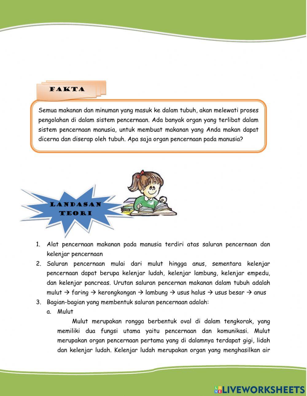 Sistem Pencernaan Manusia