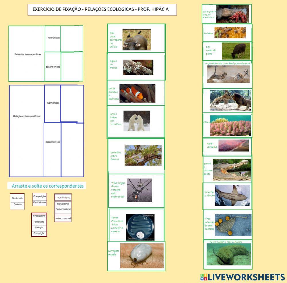 Relações ecológicas