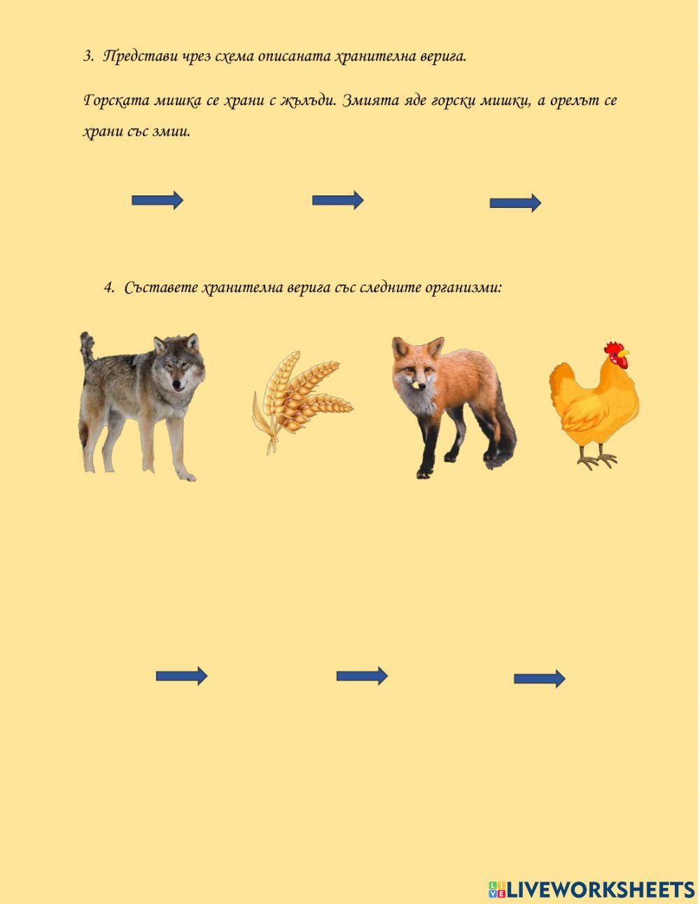 Хранителни вериги