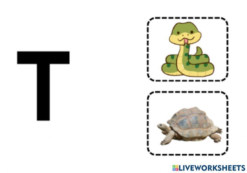 Reconocer letras del abecedario