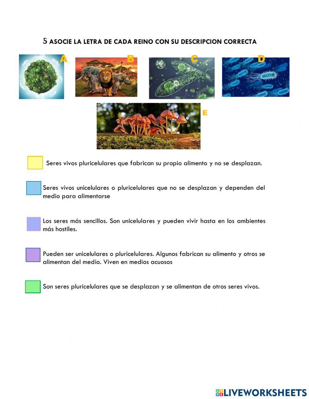 Clasificacion de los seres vivos