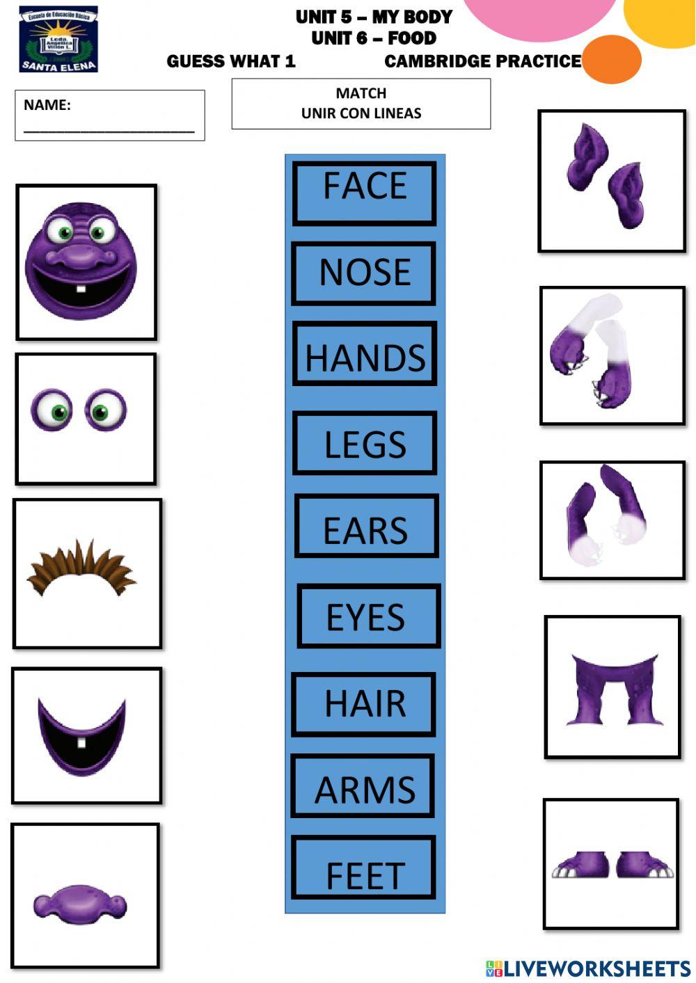 Ficha de segundo grado unit 5 and unit 6