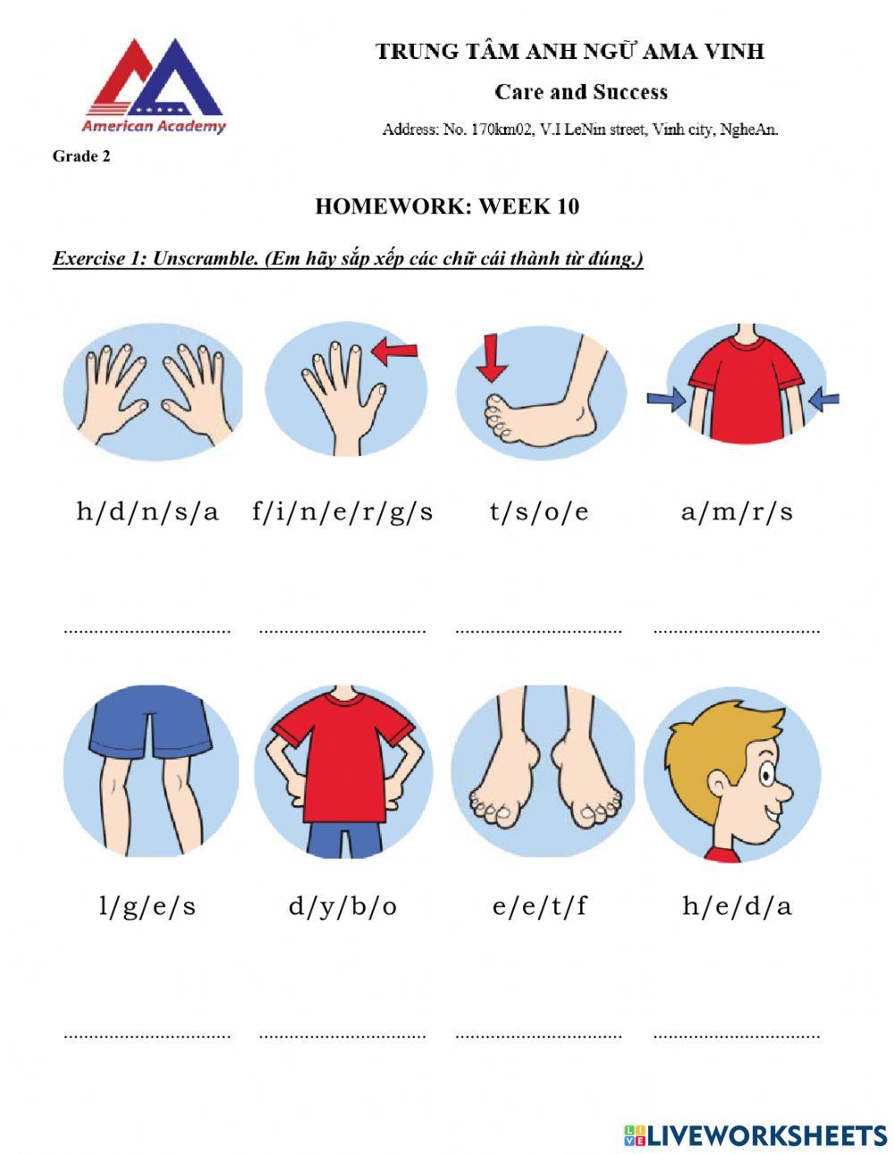 Week 10 grade 2 u4 body