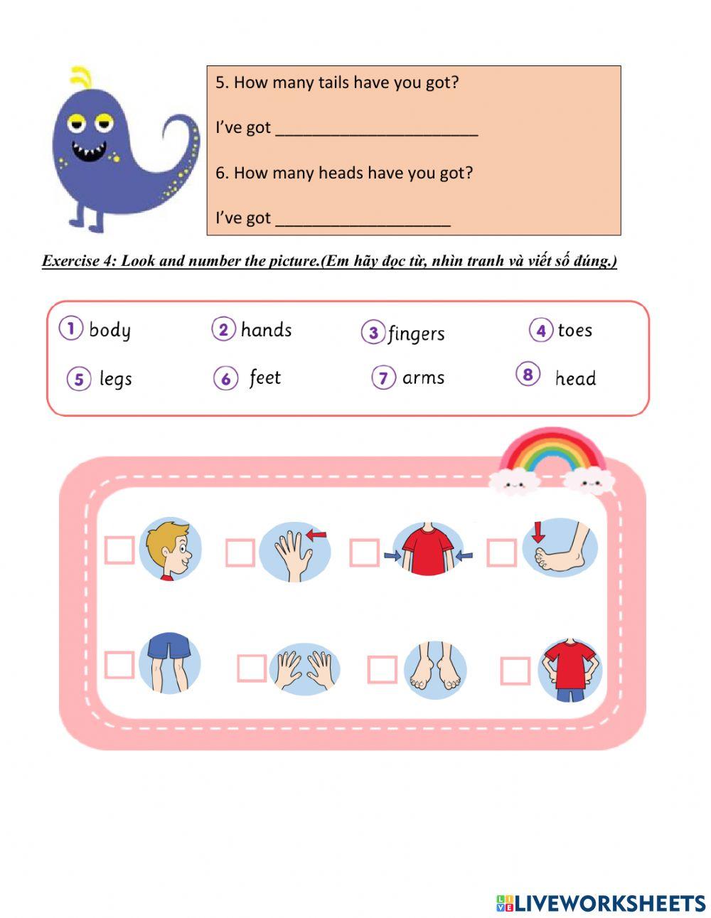 Week 10 grade 2 u4 body