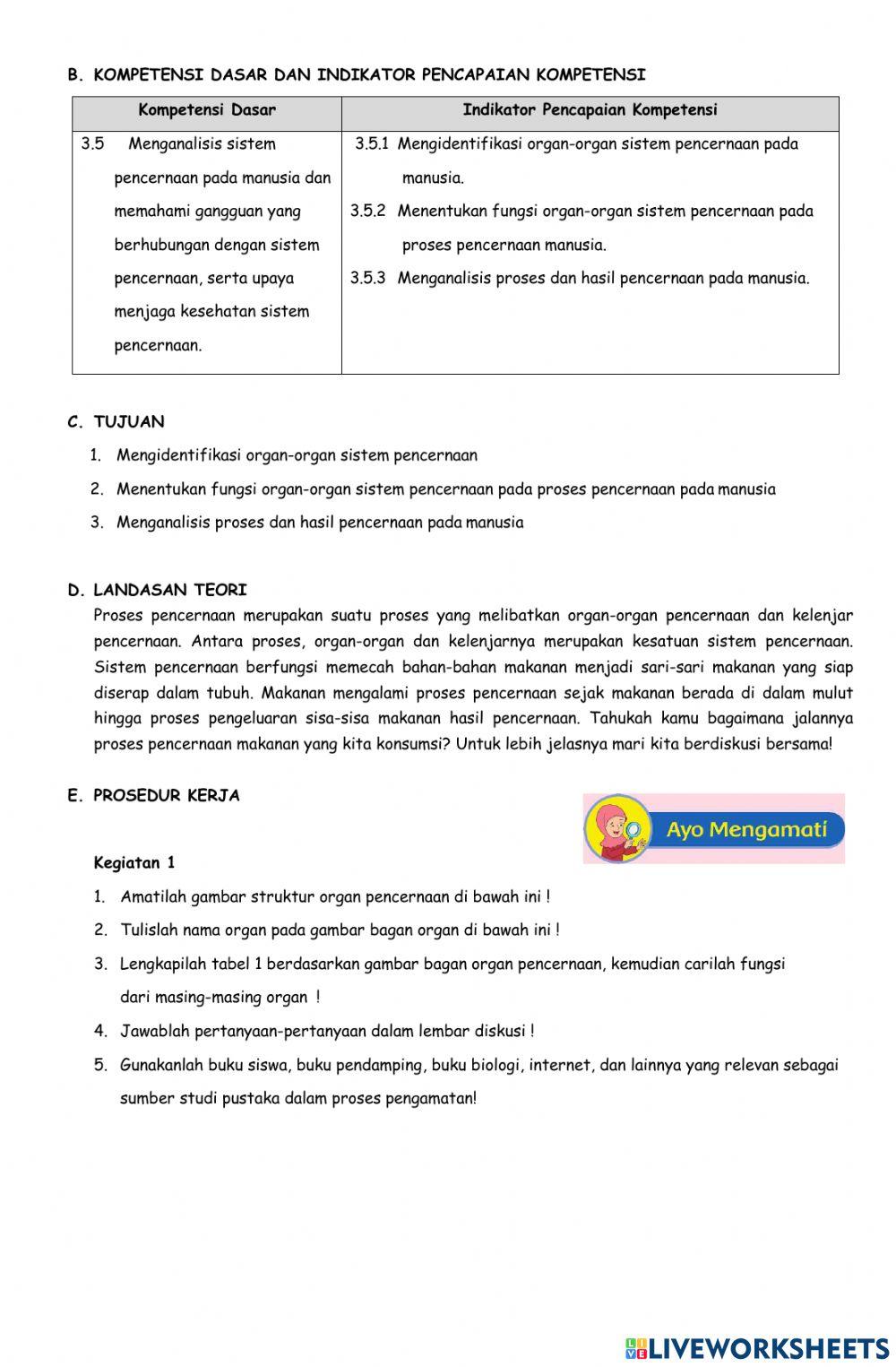 Lkpd sistem pencernaan manusia