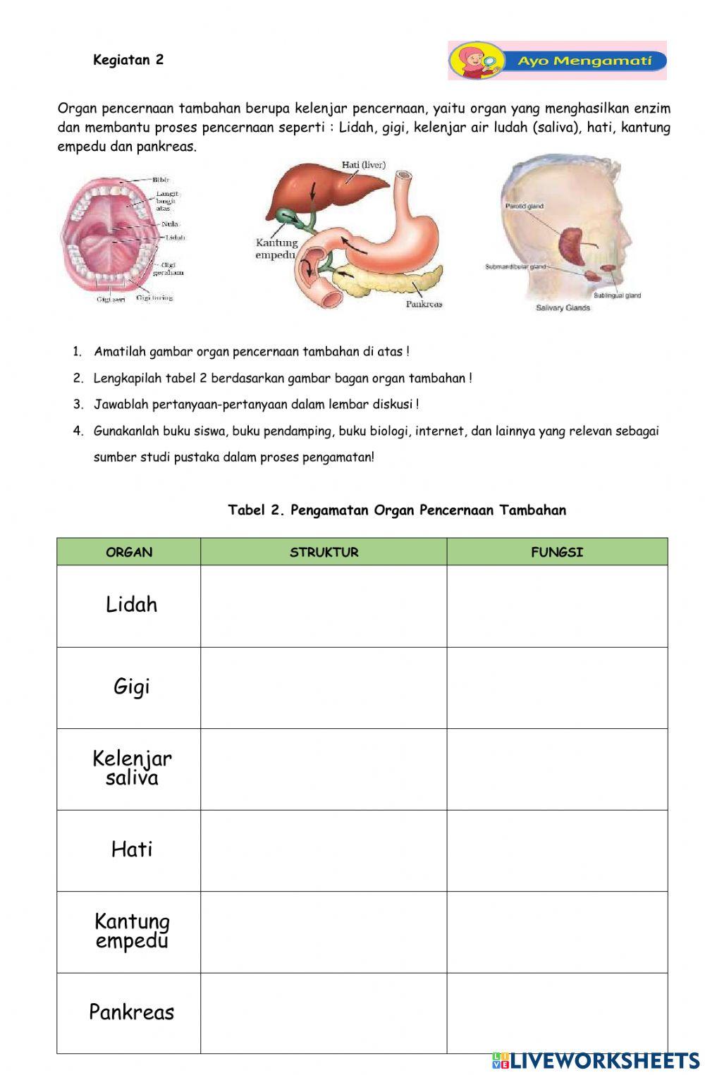 Lkpd sistem pencernaan manusia