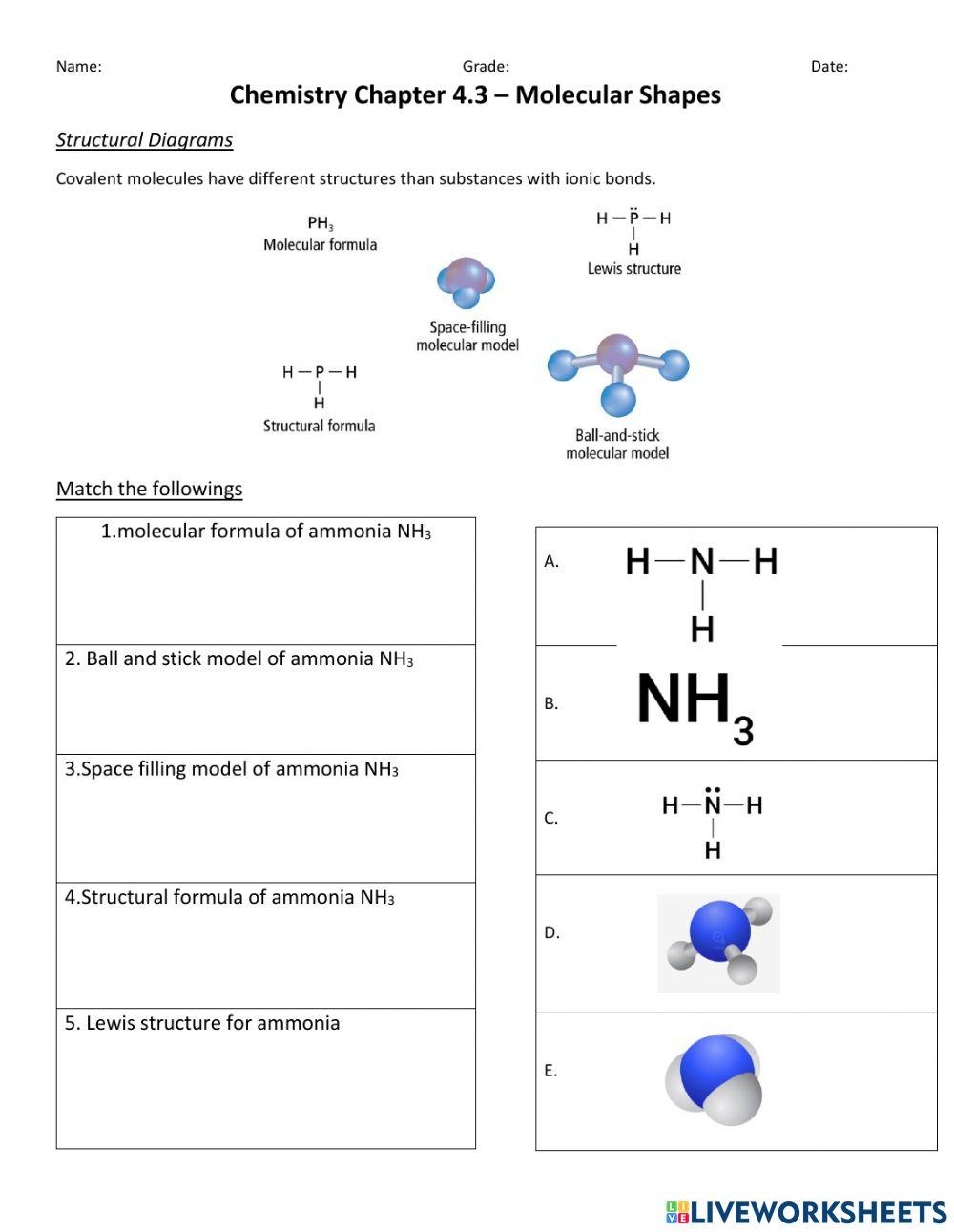 Molecular models
