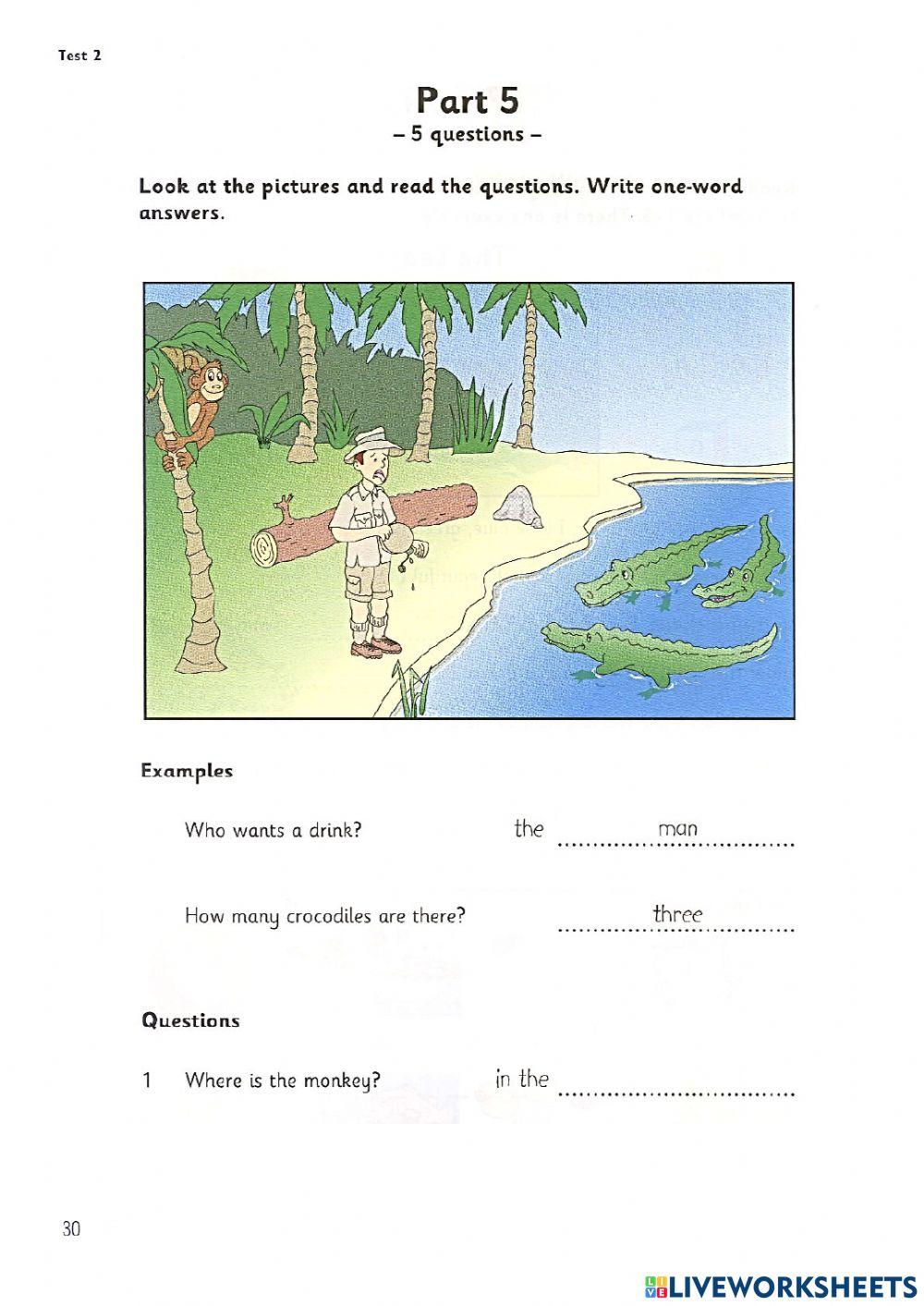 Explorer 2 - Big exam 2 - Reading and writing