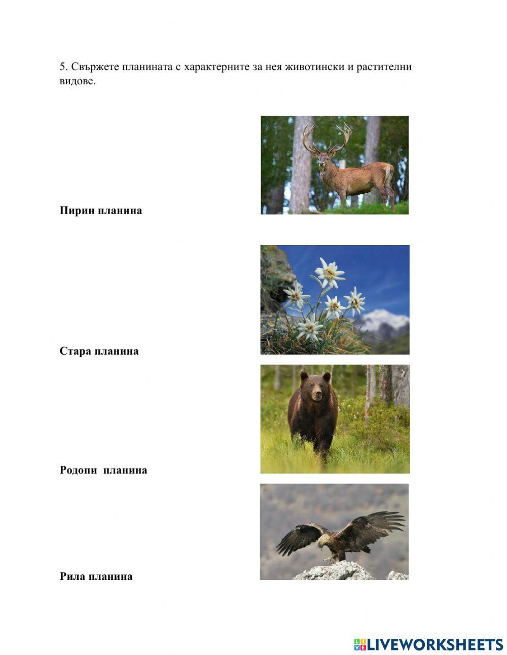 Работен лист ЧО 3-ти клас