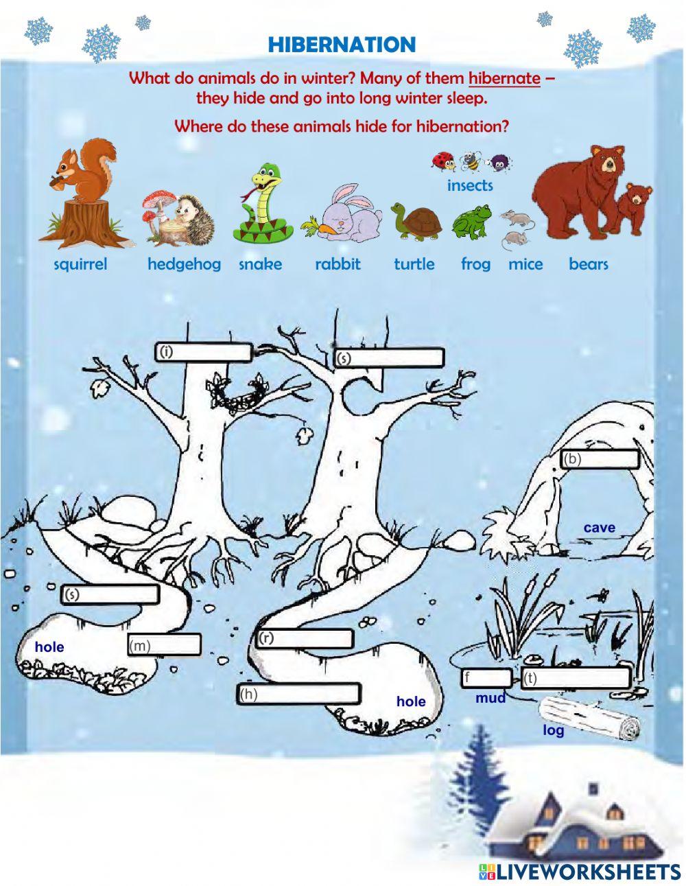 Animals That Hibernate Worksheet