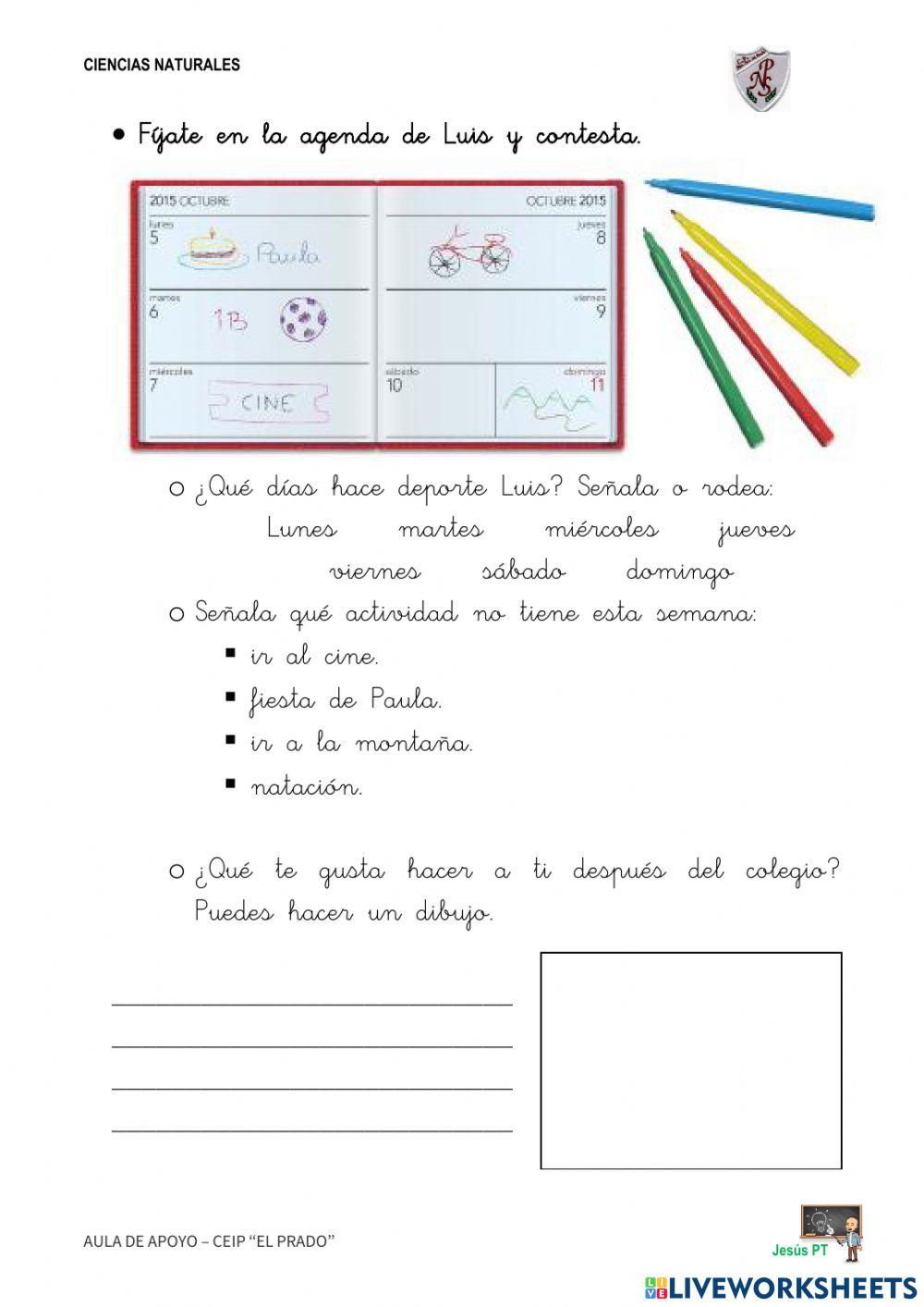 Ficha 13 Cuido mi cuerpo-1EP-Ciencias Naturales