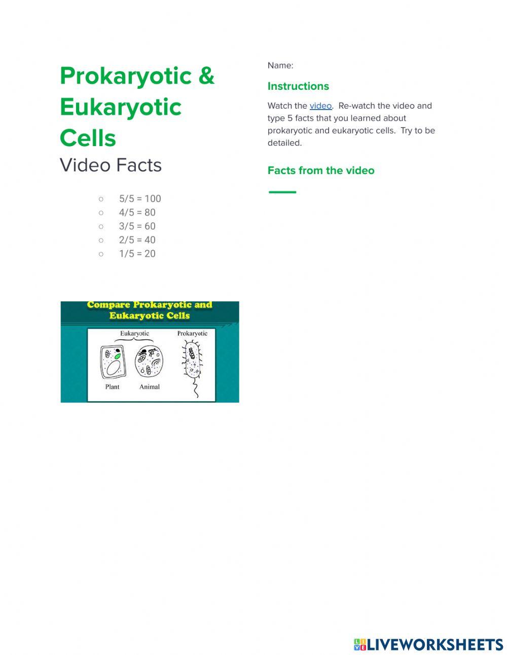 Prokaryotic and Eukaryotic Cells Video Facts