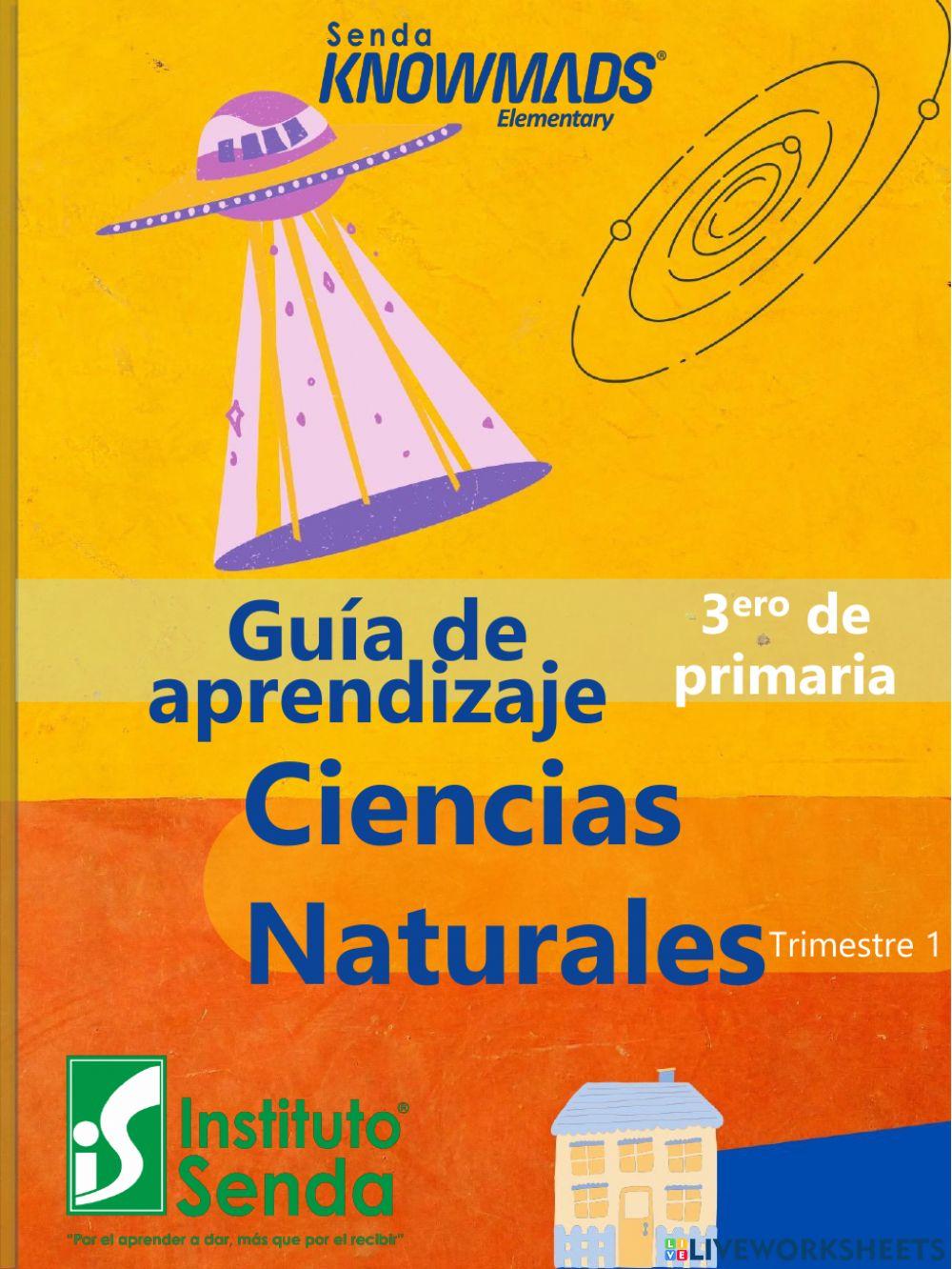 Ciencias Naturales primer periodo