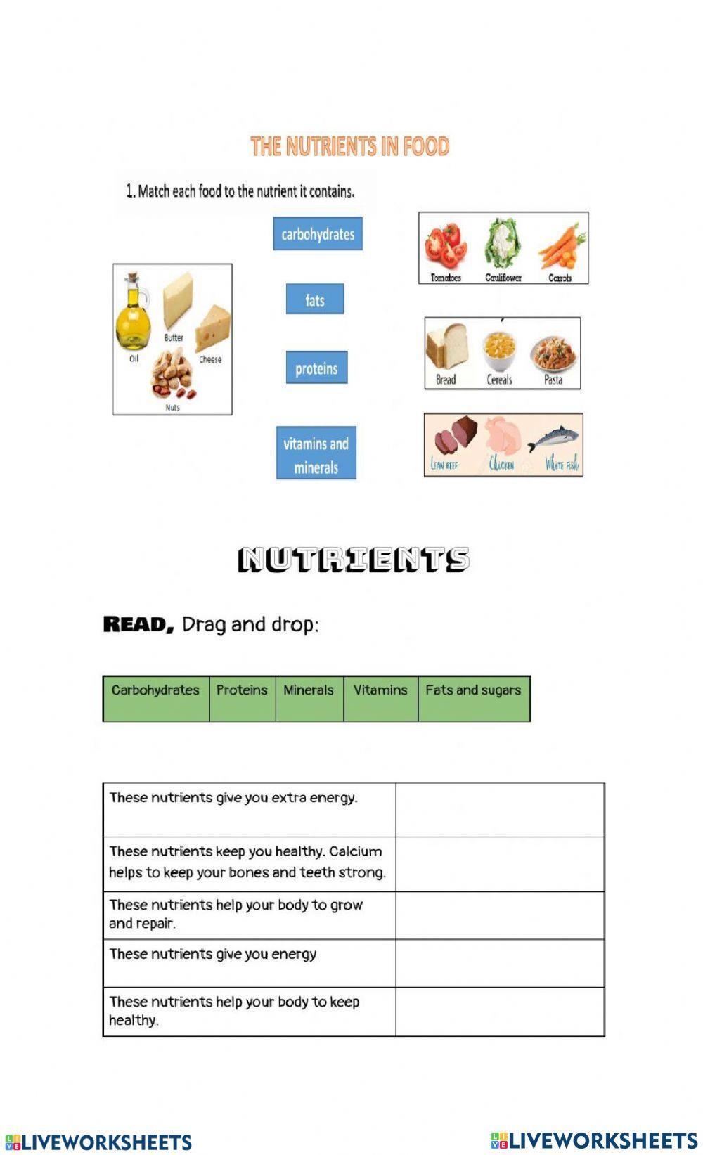 Food Nutrition - Human Digestive System