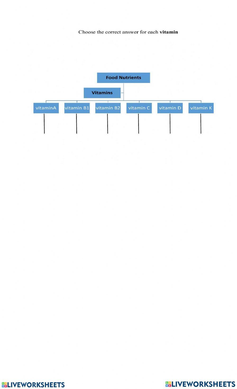 Food Nutrition - Human Digestive System